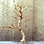 :iconfairchild12: