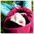 :iconfairdae: