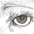 :iconfairdragoon:
