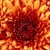 :iconfairiefrmabove7: