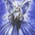 :iconfairiez43vur: