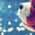 :iconfairlex:
