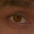 :iconfairmonts: