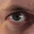 :iconfairwood: