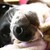 :iconfairydust76: