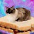 :iconfairyequinox: