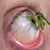 :iconfairysads: