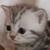 :iconfairysophine: