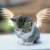 :iconfairytale11: