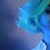 :iconfairytalesgirl: