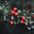 :iconfairytinker: