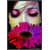 :iconfaith17: