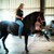 :iconfaiththereiningmare: