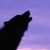 :iconfaithwolf99:
