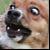 :iconfake-chocoflake:
