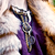 :iconfake-god: