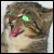 :iconfakeplasticfork:
