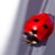 :iconfakeplasticlemon: