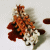 :iconfakexaxsmile: