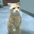 FalconBoy :iconfalconboy: