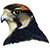 :iconfalconnl: