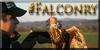 :iconfalconry: