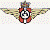 :iconfalkon110: