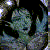 :iconfall-smiles:
