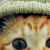 fall3nstar84 :iconfall3nstar84: