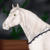 :iconfallbrookeec: