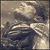 :iconfalldowndesigns: