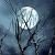 :iconfallen-angel09: