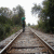 :iconfallen-drewcifer: