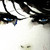 :iconfallen-morningstar: