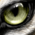 :iconfallen66:
