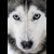 :iconfallenangel-13: