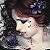 :iconfallenangel8686: