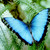 :iconfallenangelofdreams: