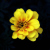 :iconfallencolor: