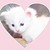 :iconfallenfang101: