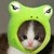 :iconfallenforcaspian: