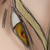 :iconfalleniniko: