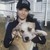:iconfallenkennels: