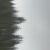 :iconFallenLeaf-Fall: