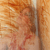 :iconfallenphotoangel: