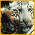 :iconfallenreflection: