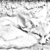 :iconfallensilverdove: