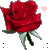 :iconfallenvampirerose: