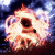 :iconfallenxwolf: