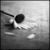 :iconfallenxxdusk: